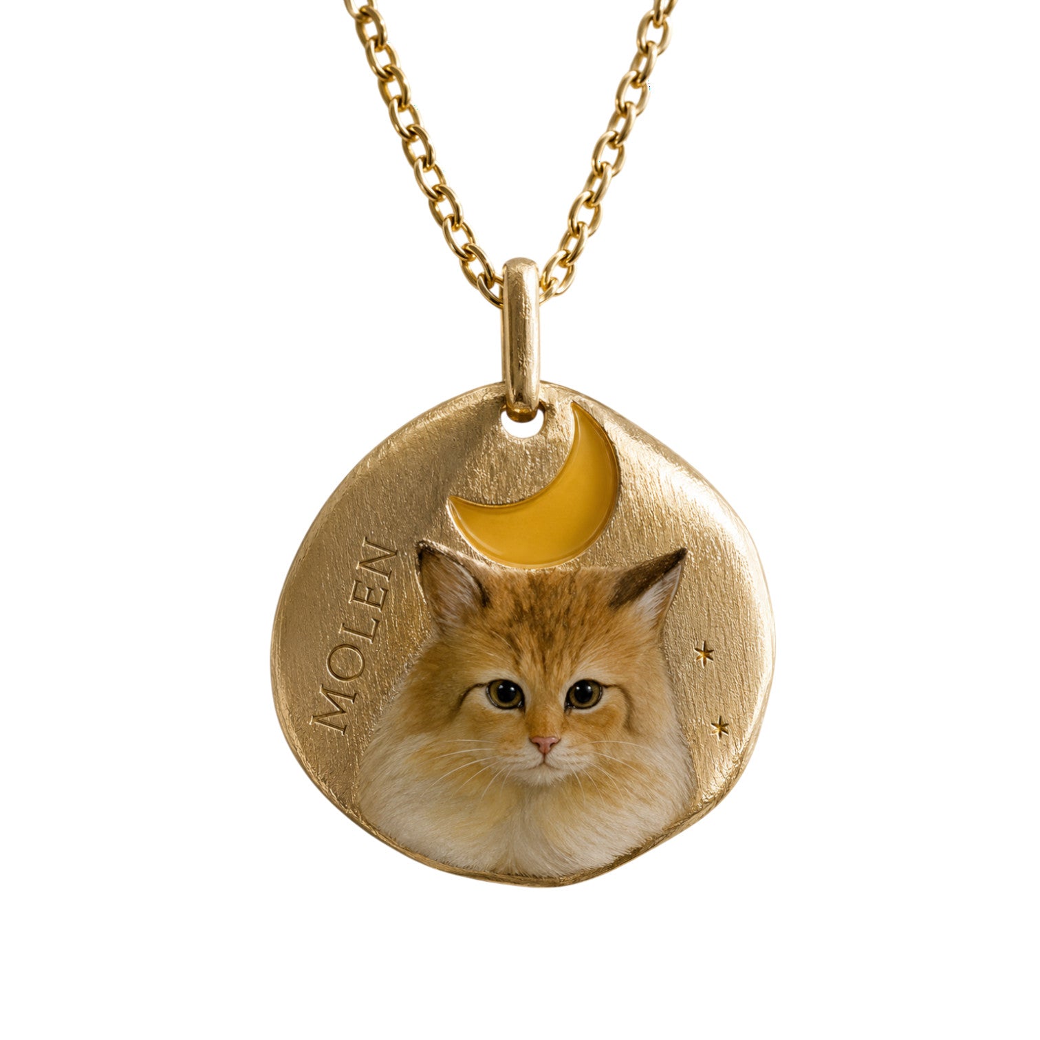 9k Hand Enamelled Pet Pendant Yellow
