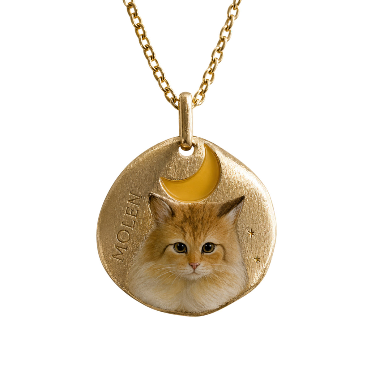 9k Hand Enamelled Pet Pendant Yellow