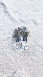 0.84ct White Sapphire (2392)